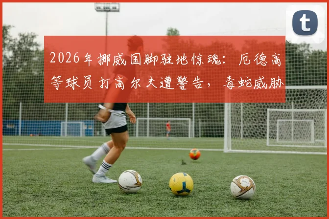 2026年挪威国脚驻地惊魂：厄德高等球员打高尔夫遭警告，毒蛇威胁成训练外最大隐患