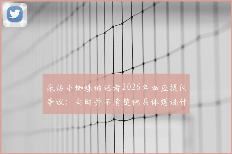 采访小蜘蛛的记者2026年回应提问争议：当时并不清楚他具体想说什么，事件背景与对话始末回顾