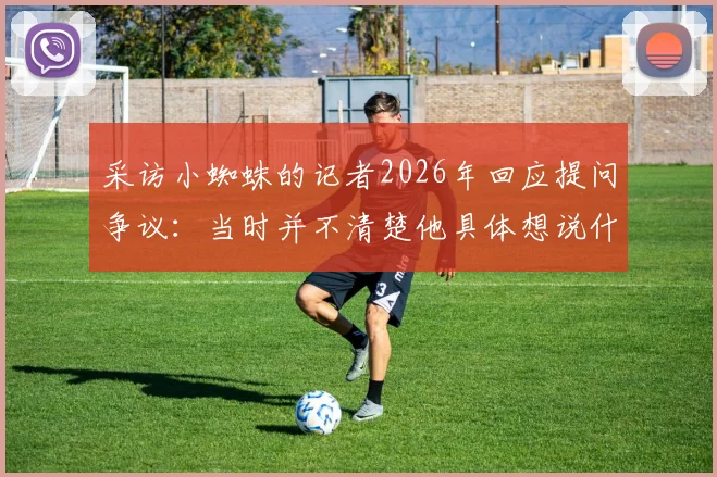 采访小蜘蛛的记者2026年回应提问争议：当时并不清楚他具体想说什么，事件背景与对话始末回顾