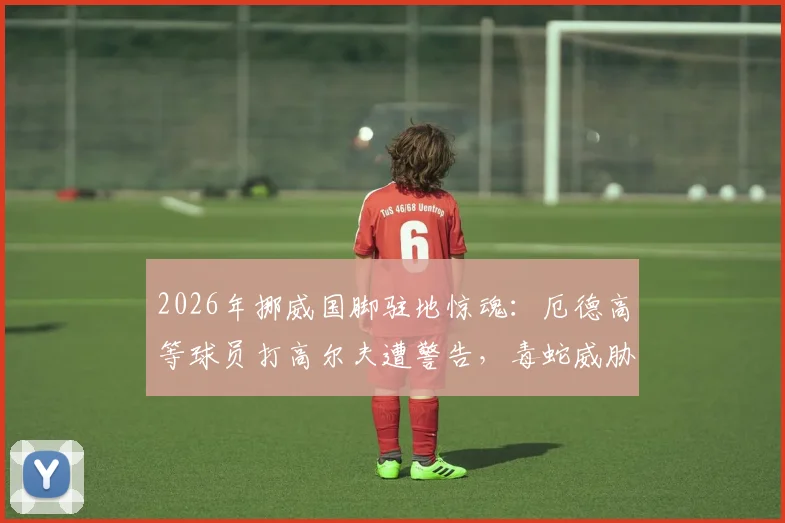 2026年挪威国脚驻地惊魂：厄德高等球员打高尔夫遭警告，毒蛇威胁成训练外最大隐患